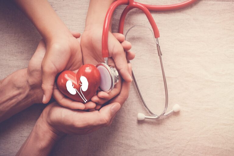 hands holding red heart with stethoscope, world kidney day